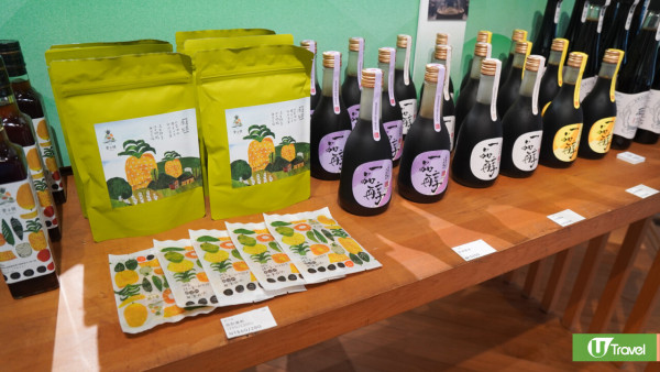 【花蓮2025行程】香港直航飛花蓮3日2夜8大景點！台版霍格華茲城堡酒店/世界上唯二橫跨板塊大橋 