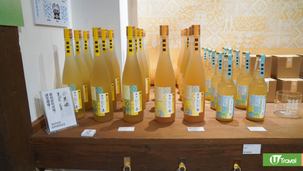 【花蓮2025行程】香港直航飛花蓮3日2夜8大景點！台版霍格華茲城堡酒店/世界上唯二橫跨板塊大橋 