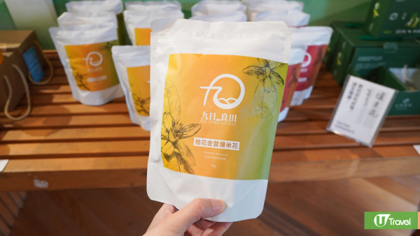 【花蓮2025行程】香港直航飛花蓮3日2夜8大景點！台版霍格華茲城堡酒店/世界上唯二橫跨板塊大橋 