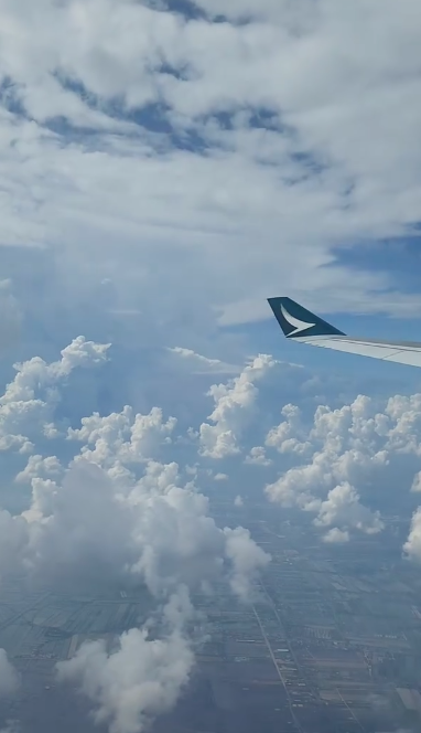 飛機遇亂流空中急降三次！驚險影片曝光全機人尖叫！港男嘆生命無常 