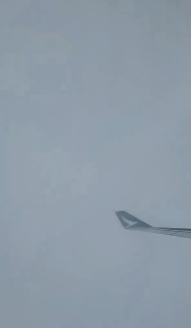 飛機遇亂流空中急降三次！驚險影片曝光全機人尖叫！港男嘆生命無常 