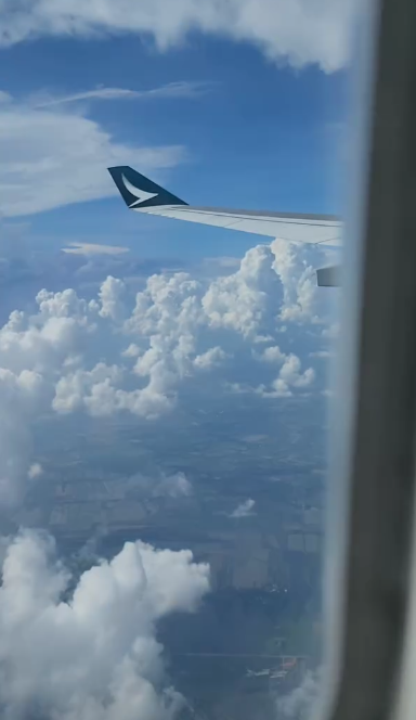飛機遇亂流空中急降三次！驚險影片曝光全機人尖叫！港男嘆生命無常 
