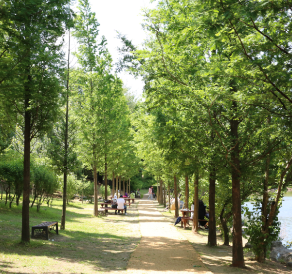 首爾大公園（圖片來源：首爾大公園）