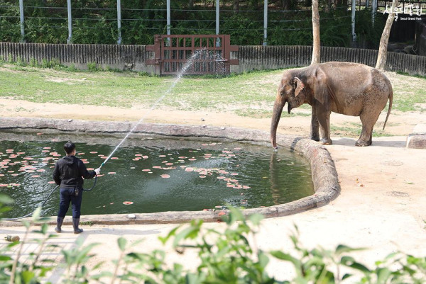 首爾大公園（圖片來源：首爾大公園）