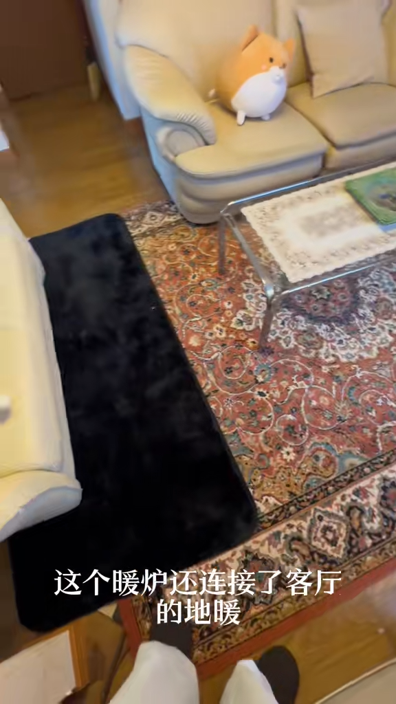 內地人興起日本買平樓！3.45萬港元購入北海道小樽獨立屋！1700呎內部溫馨！ 