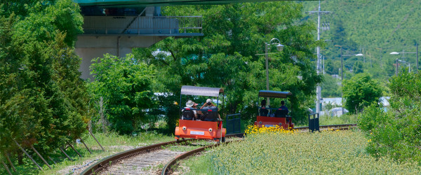江村鐵路自行車（圖片來源︰railpark）