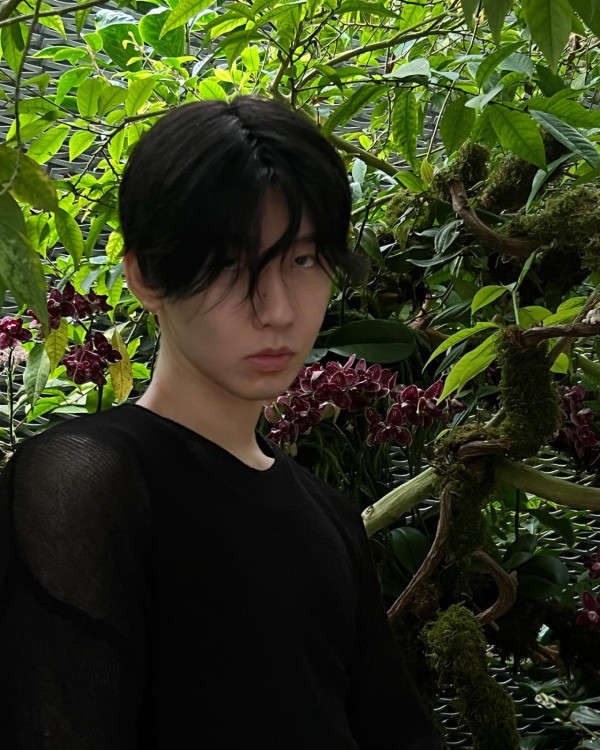 加州迪士尼設施大排長龍 父母為享二人世界將BB車連孩子棄路邊