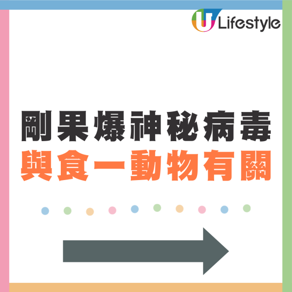 剛果爆神秘致命病毒！ 部分患者48小時內逝世 疑與食1種動物有關 