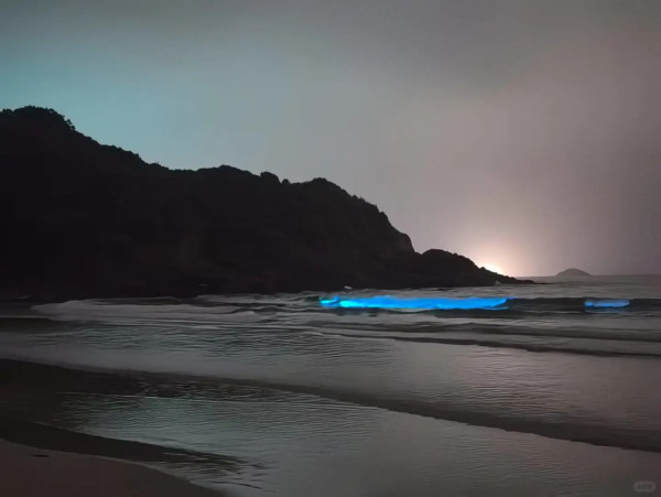 藍眼淚湧現！麥理浩徑海岸現藍眼淚 海浪中爆發幽幽藍光