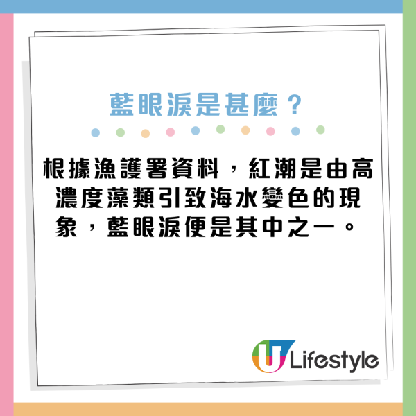 藍眼淚湧現！麥理浩徑海岸現藍眼淚 海浪中爆發幽幽藍光