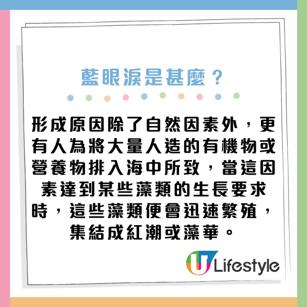 藍眼淚湧現！麥理浩徑海岸現藍眼淚 海浪中爆發幽幽藍光