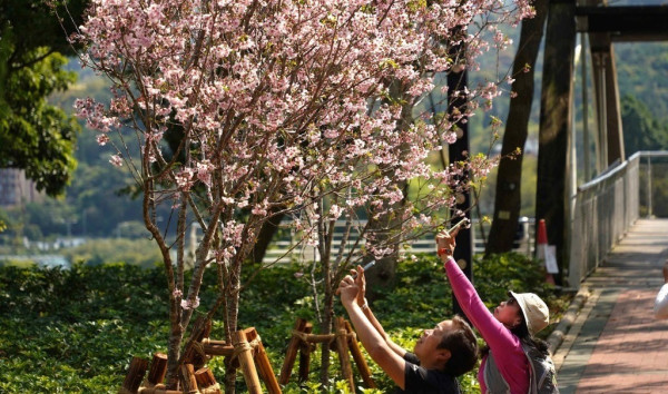 驚蟄飲食養生方法｜溫差大濕氣重脾胃易不適　中醫推介3類食材助健脾去濕