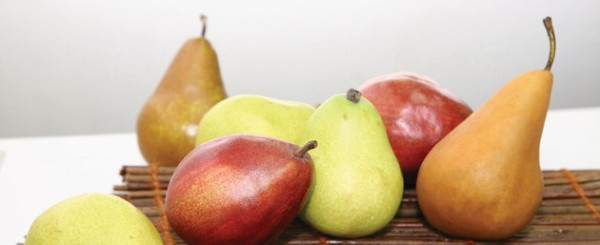 驚蟄飲食養生方法｜溫差大濕氣重脾胃易不適　中醫推介3類食材助健脾去濕