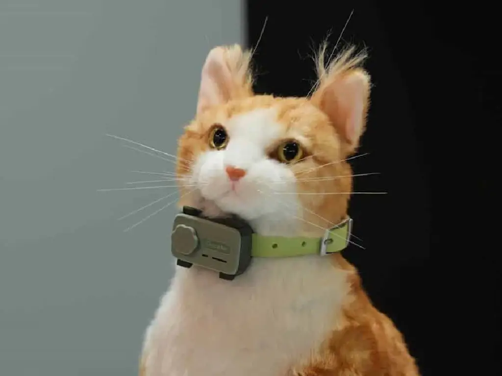 MWC 2025｜寵物都會用手機？ uCloudlink 發布 PetPhone