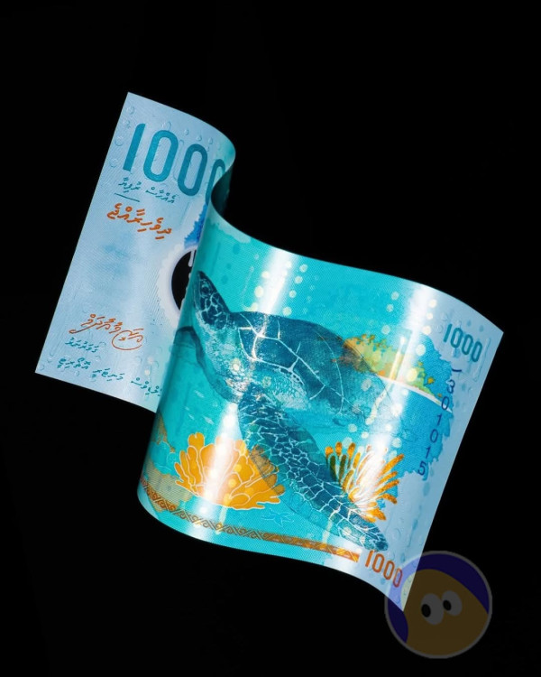 馬爾代夫藏全球最美貨幣 深海鯨鯊海龜一秒捉到手 旅客搶收藏 