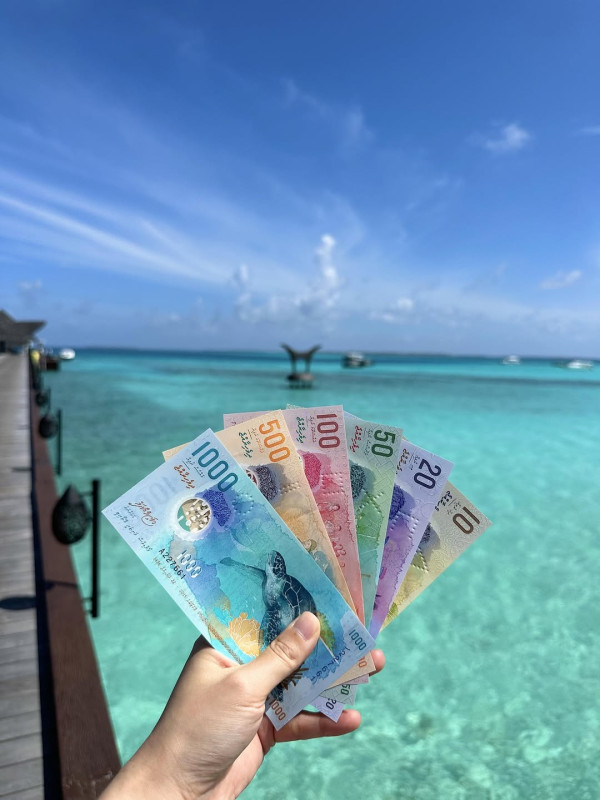 馬爾代夫藏全球最美貨幣 深海鯨鯊海龜一秒捉到手 旅客搶收藏 