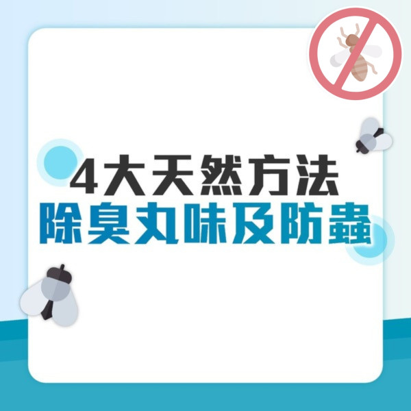 飛蟻可變白蟻防飛蟻入屋9招！白蟻入侵3跡象脫翼/蟻道/傢俬地板現凹痕