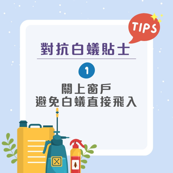 飛蟻可變白蟻防飛蟻入屋9招！白蟻入侵3跡象脫翼/蟻道/傢俬地板現凹痕