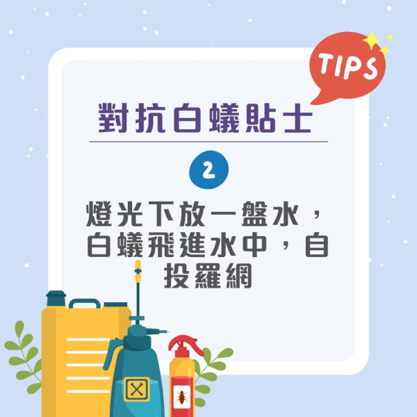 飛蟻可變白蟻防飛蟻入屋9招！白蟻入侵3跡象脫翼/蟻道/傢俬地板現凹痕