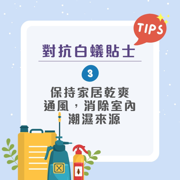 飛蟻可變白蟻防飛蟻入屋9招！白蟻入侵3跡象脫翼/蟻道/傢俬地板現凹痕