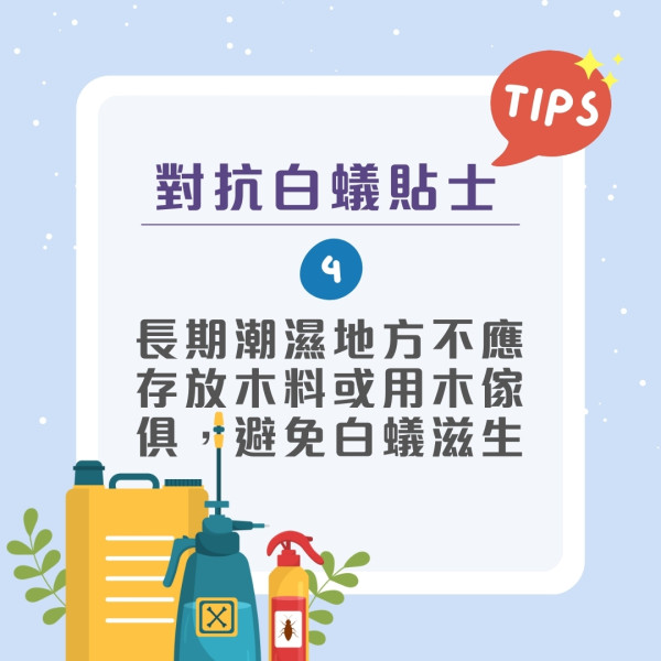飛蟻可變白蟻防飛蟻入屋9招！白蟻入侵3跡象脫翼/蟻道/傢俬地板現凹痕