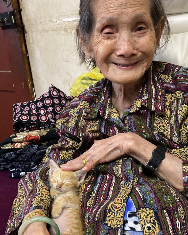 前新聞主播被迫食蜜蜂面容扭曲 一原因堅持搭12個鐘車回鄉 