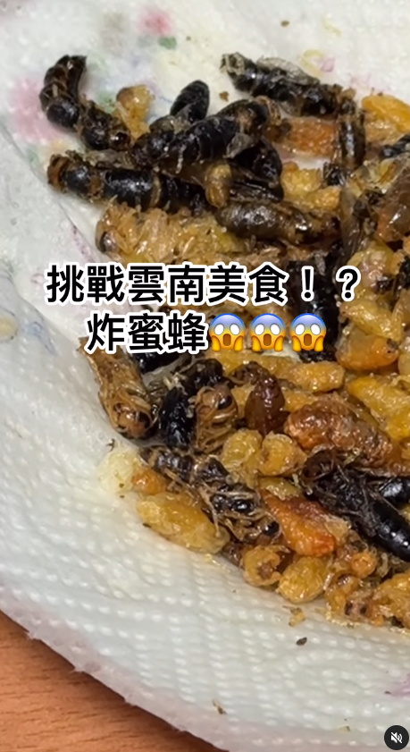 前新聞主播被迫食蜜蜂面容扭曲 一原因堅持搭12個鐘車回鄉 