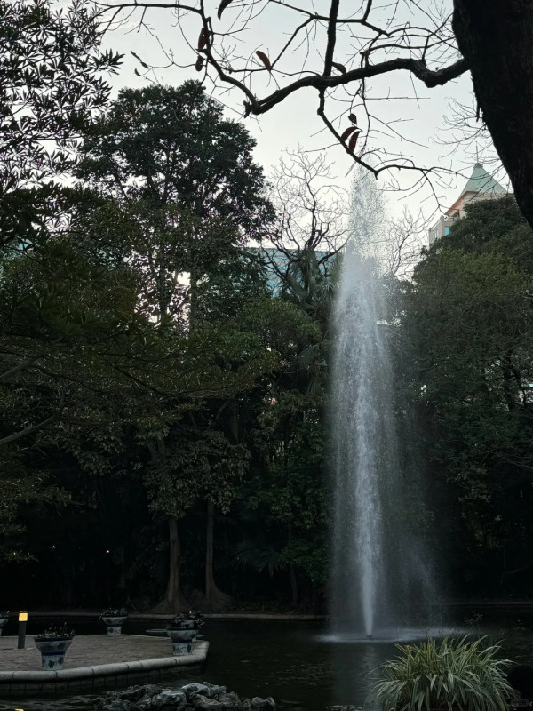 九龍公園新裝修登場！噴水池變浪漫紫色+彩色熊貓擺設獲讚好靚