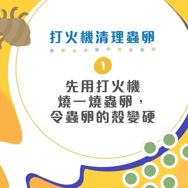 臭屁蟲處理攻略︱防入屋3招輕鬆消滅！亂拍打恐毒液濺眼臭屁蟲卵處理正確方法