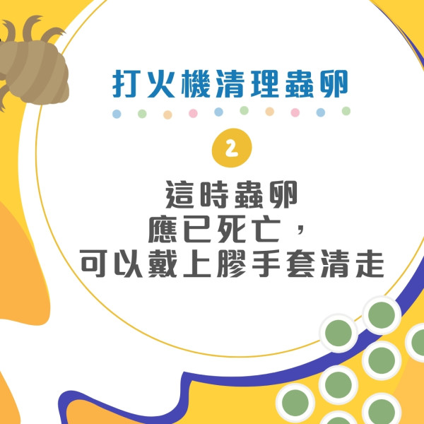 臭屁蟲處理攻略︱防入屋3招輕鬆消滅！亂拍打恐毒液濺眼臭屁蟲卵處理正確方法