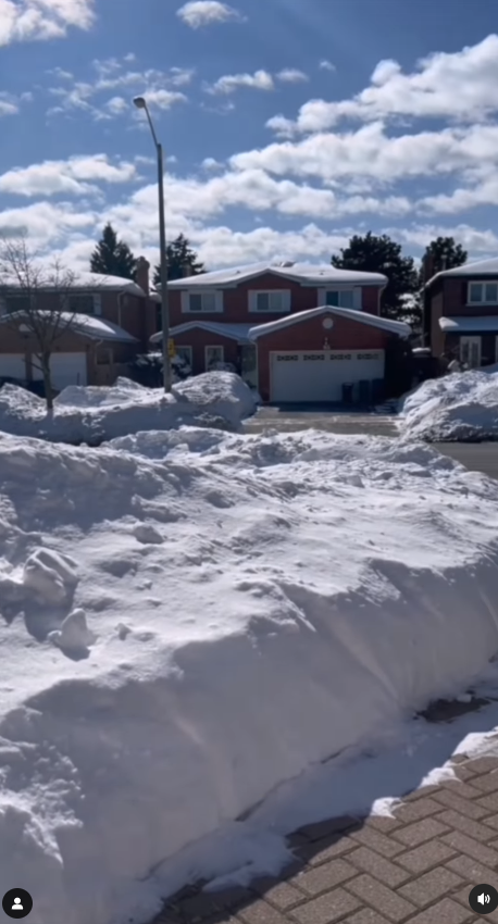 才女港姐返加拿大豪宅曝光 53歲保養得宜被封凍齡女神!