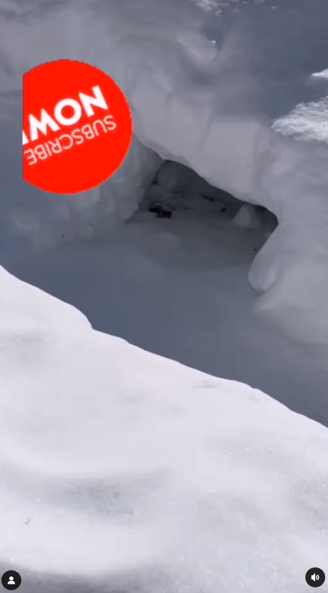 才女港姐返加拿大豪宅曝光 53歲保養得宜被封凍齡女神!