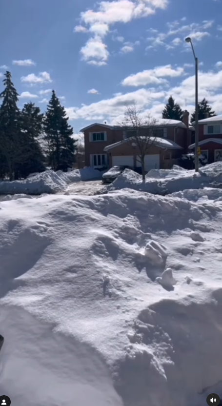 才女港姐返加拿大豪宅曝光 53歲保養得宜被封凍齡女神!