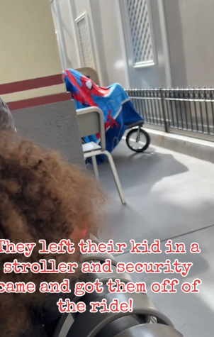 加州迪士尼設施大排長龍 父母為享二人世界將BB車連孩子棄路邊