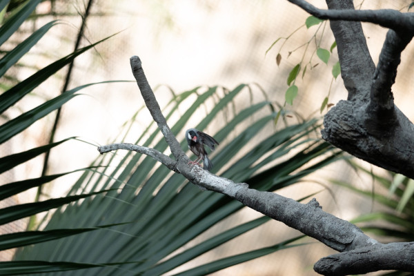 最強全片幅入門機？ 實試Sony A7 V 全片幅無反相機 AI追蹤 30FPS高速連拍 預拍攝下放