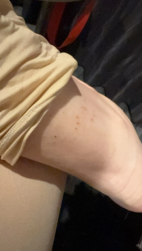 香港夫婦裸辭旅居日本做全職Youtuber 生活費用盡 拍片推會員制望網民資助捱批 