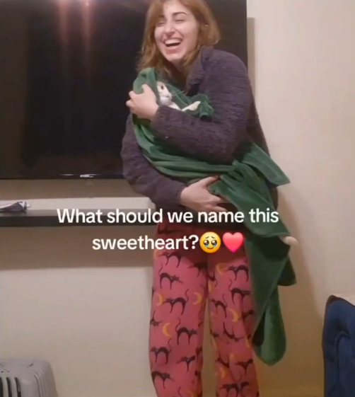 寵物犬被拒上機 狠心女主人機場廁所即場淹死小狗 