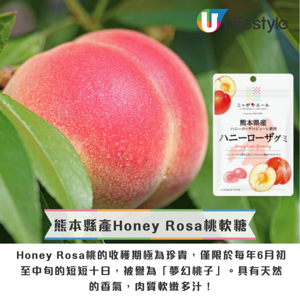 日本必買手信2025！日本製地區特產水果軟糖 共67種口味/超濃果香！附開箱試食 