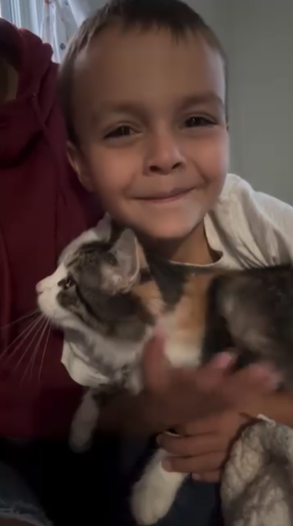 6歲男孩創業當「鏟屎官」 親力親為救助流浪貓狗 