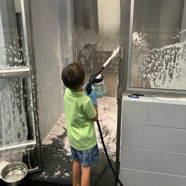 6歲男孩創業當「鏟屎官」 親力親為救助流浪貓狗 