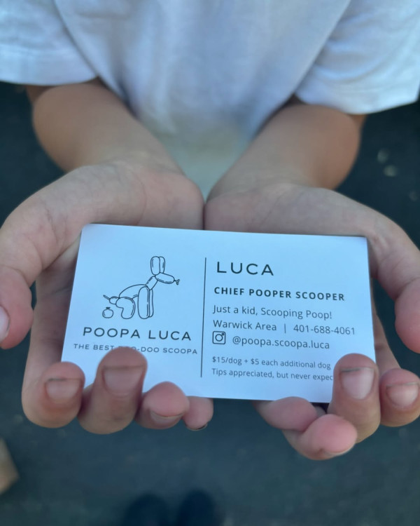 6歲男孩創業當「鏟屎官」 親力親為救助流浪貓狗 