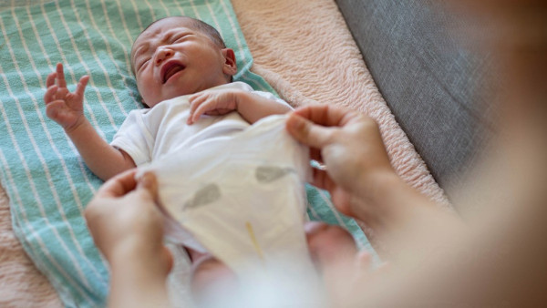 親子遊郵輪航線推薦