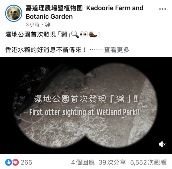 濕地公園首次發現歐亞水瀨蹤跡 與豹貓小靈貓共享廁所月內3次現身