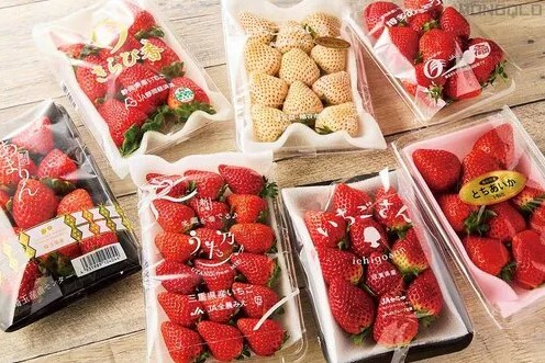 日本草莓推薦排行榜|日媒評測7大士多啤梨!這款新品種力壓甜王勇奪第一 日本草莓推薦排行榜|日媒評測7大士多啤梨!這款新品種力壓甜王勇奪第一