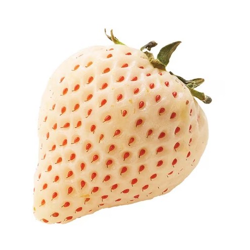 日本草莓推薦排行榜|日媒評測7大士多啤梨!這款新品種力壓甜王勇奪第一