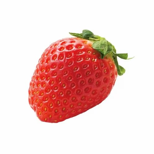 日本草莓推薦排行榜|日媒評測7大士多啤梨!這款新品種力壓甜王勇奪第一