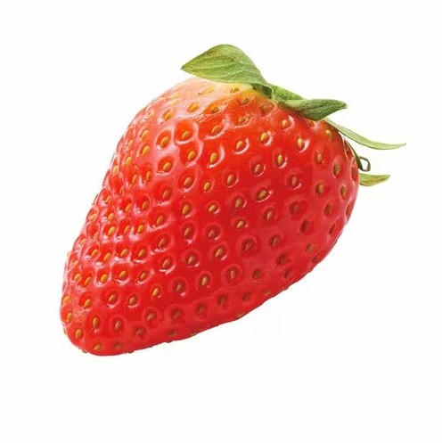 日本草莓推薦排行榜|日媒評測7大士多啤梨!這款新品種力壓甜王勇奪第一