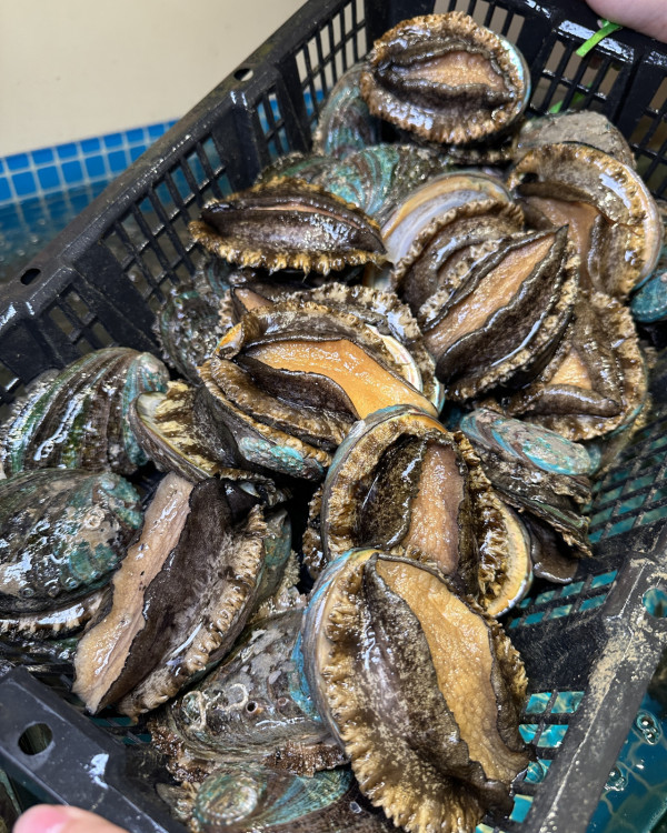 深圳福田好去處2025 | 美食／按摩／住宿最新攻略 