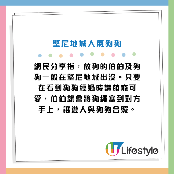 堅尼地城狗狗爆紅變人氣打卡點！網民：想為咗佢去香港玩！獲讚可以做香港旅遊大使！