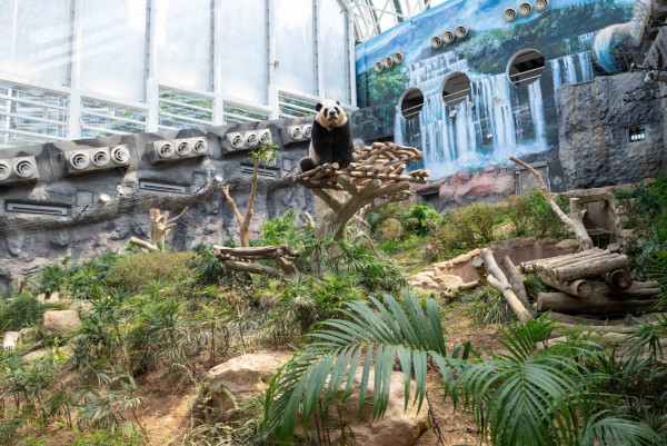 澳門石排灣站好去處推薦！ 大熊貓/小型賽車場/高爾夫 同場加映媽閣文青必去打卡位 